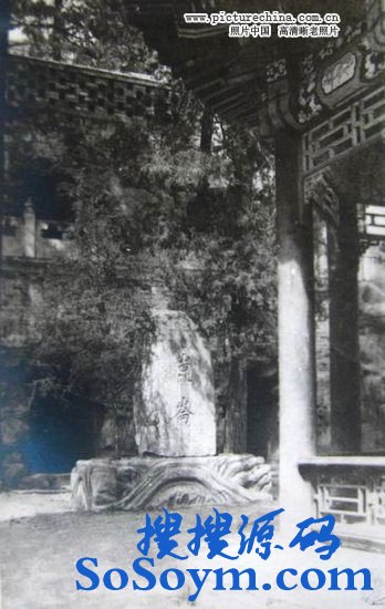 ��������Ĳ�ɣ����Ƭ