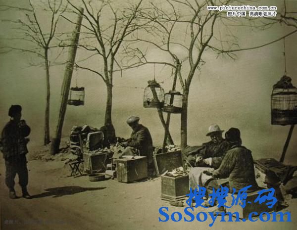 ��������Ĳ�ɣ����Ƭ