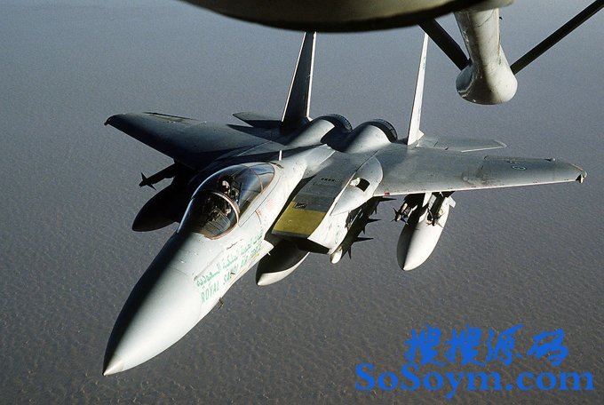 ��������ɳ�ؾ޶���� ��84��F-15ս��
